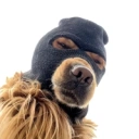 SKI MASK DOG (SKI) Logo